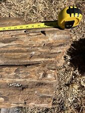 Petrified log large for sale  Weatherford