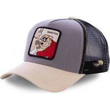 Casquette baseball styles d'occasion  Levroux