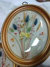 Framed dried flower for sale  Mankato