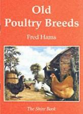 Old poultry breeds for sale  UK