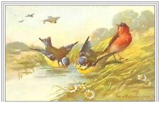 Illustrateurs.klein. 4.oiseaux d'occasion  France