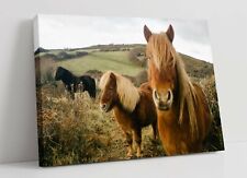 Horses large canvas for sale  LONDONDERRY