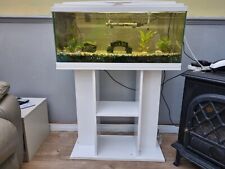 Years old fish for sale  HARLOW