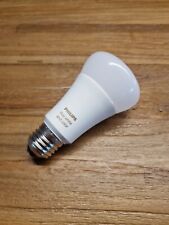 lampadine philips hue usato  Lucca