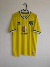 Norwich city 2020 for sale  HALSTEAD