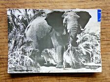 carte postale elephant Afrique avec 7 timbres au verso 1957 vintage collection d'occasion  Gouville-sur-Mer