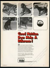 1977 doberman pinscher for sale  Denver