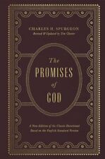 Promises god new for sale  Somers
