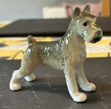 schnauzer dog for sale  LEEDS