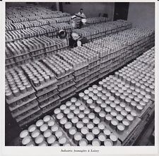 1964 loisey cheese d'occasion  Expédié en Belgium