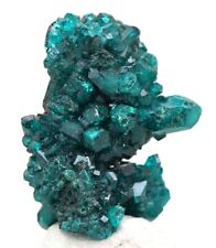 Espécimen de dioptasa racimo de cristal verde esmeralda mineral kazajstán segunda mano  Embacar hacia Mexico