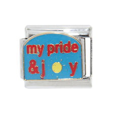 Pride joy enamel for sale  LUTON