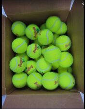 Tennis balls kids for sale  Chesterfield