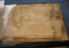 Veneering burr sheet for sale  WAKEFIELD