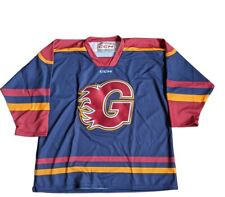 Guildford flames home for sale  LINCOLN