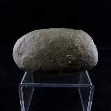 Authentic american fossil for sale  Shipping to Ireland