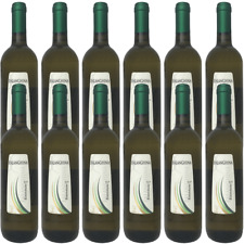 Vino bianco falanghina usato  Monte Di Procida