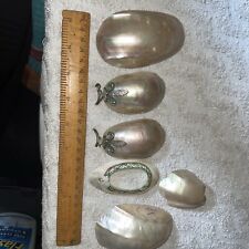 Mother pearl shells for sale  ABERGAVENNY