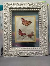Vintage butterfly framed for sale  Sterling Heights