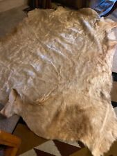 Large cow skin for sale  Glendale