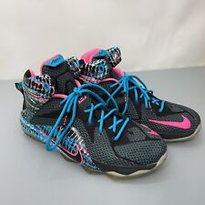 Nike lebron sneakers for sale  Franklinton