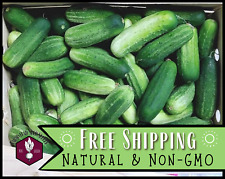 250 cucumber seeds for sale  Detroit