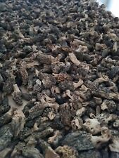 Morilles vrac industri d'occasion  Audincourt