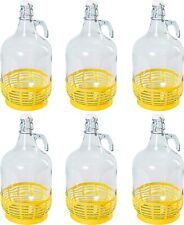 Bügelflaschen gärballon glas gebraucht kaufen  Niesky