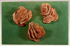 Barite roses desert for sale  Elverson