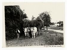 Photographie ancienne 1910 d'occasion  Venarey-les-Laumes