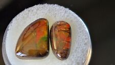 Ammolite gem for sale  High Point