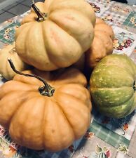 Seminole pumpkin seeds for sale  Ocala