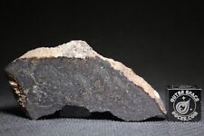 Nwa 10492 chondrite for sale  Rumson