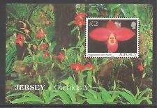 Jersey #1129 (A228) VF MNH S/S - 2004 £2 Phragmipedium Orchid "Jason Fischer", used for sale  Shipping to South Africa