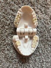 Dental model bridge for sale  Bradenton
