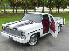 1979 chevy pickup for sale  Palmetto