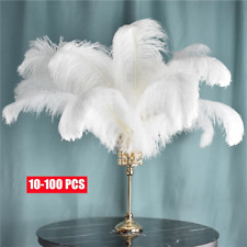 ostrich feathers grey for sale  Shipping to Ireland