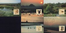 Postcards wildfowl wetlands for sale  SOUTHALL