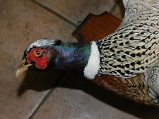 Ringneck pheasant rustic for sale  Wood Dale