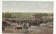 1905 postcard cattle for sale  LONDON