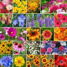 Perennial plants mixed for sale  MARCH