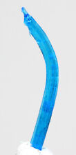 Chalcanthite specimen blue for sale  Tucson