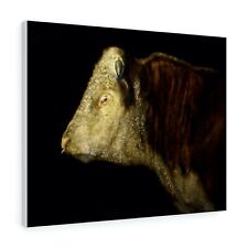 Hereford bull canvas for sale  DRIFFIELD