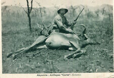 Ethiopie abyssinie antilopes d'occasion  Genillé