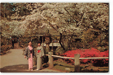 Postcard japanese tea for sale  Sebastian