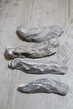 Lot oyster shells for sale  Pelican Rapids