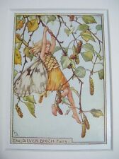 Silver birch fairy for sale  TELFORD