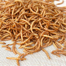 100g dried mealworms for sale  Shipping to Ireland
