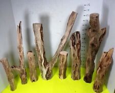 Piece lot driftwood for sale  Brookwood