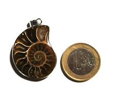 Ammonit anhänger versilbert gebraucht kaufen  Mössingen